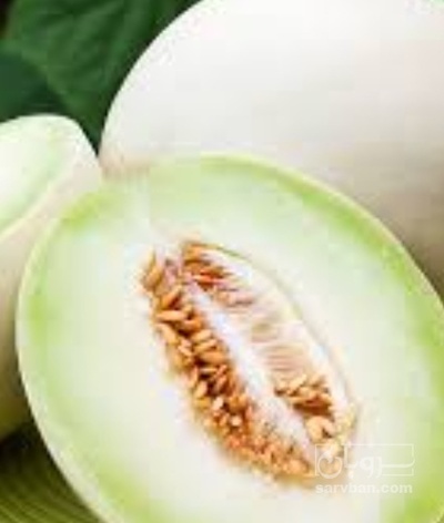 فروش خربزه سفید