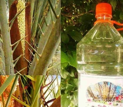 فروش عرق طارونه