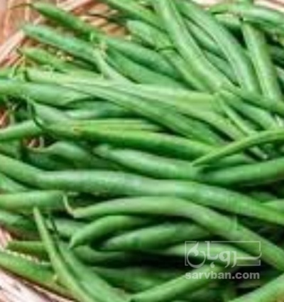 فروش لوبیا سبز