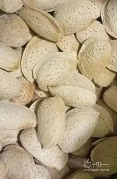 فروش بادام