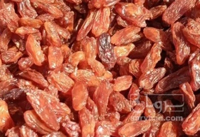 فروش کشمش