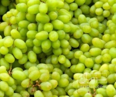 فروش غوره هکتاری