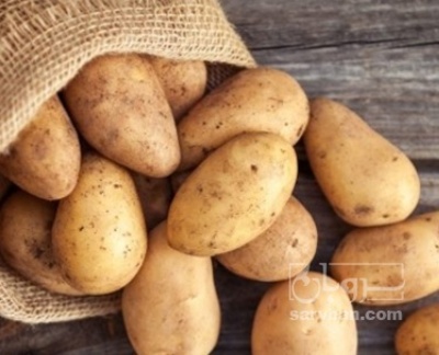 فروش سیب زمینی