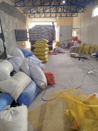 فروش باقلا خشک