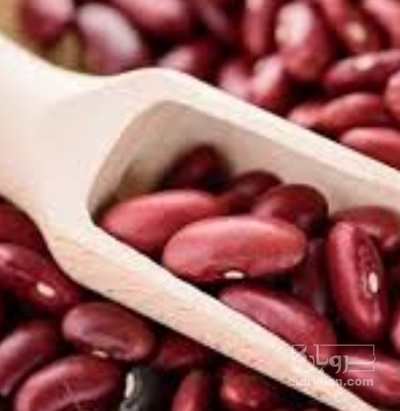 فروش لوبیا قرمز