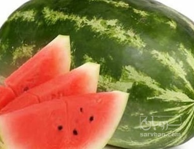 فروش هندوانه بیضی