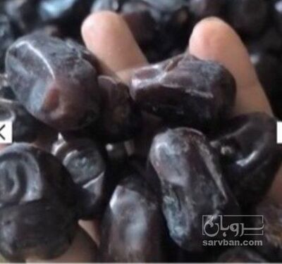 فروش خرما