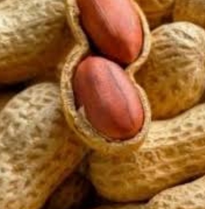 فروش بادام زمینی با قلاف