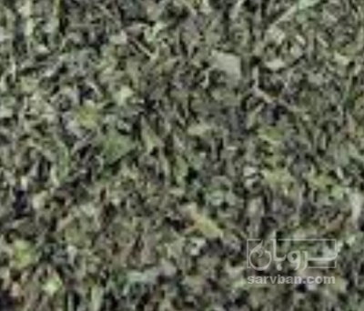 فروش نعناع خشک
