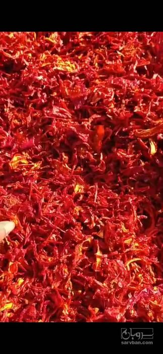 فروش  پاپریکا (گیاه‌ دارویی)