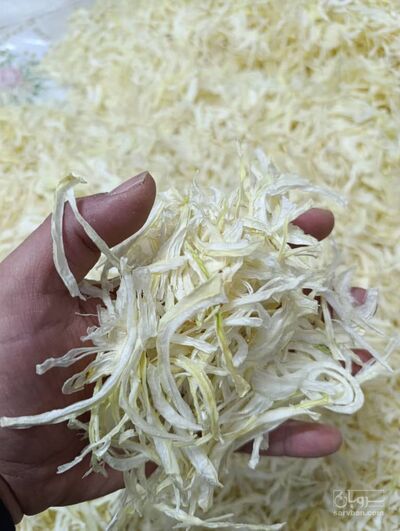 فروش پیاز خشک خلالی (گیاه‌ دارویی) | سروبان