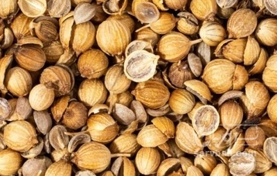 فروش تخم گشنیز (گیاه‌ دارویی)