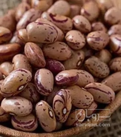 فروش لوبیا چیتی