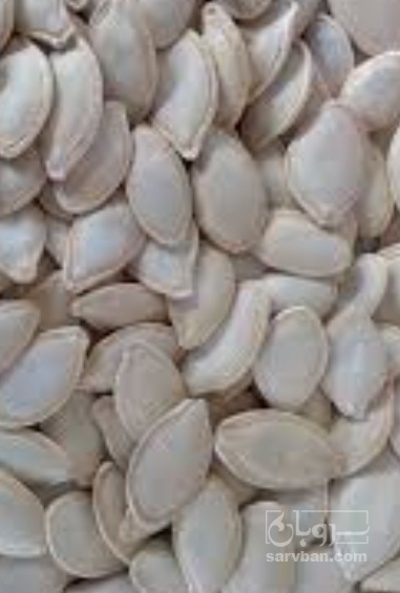 فروش تخمه  کدو بو داده