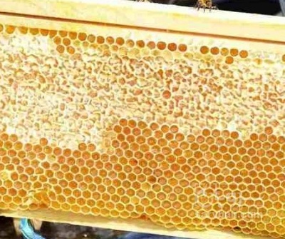 فروش عسل قابدار