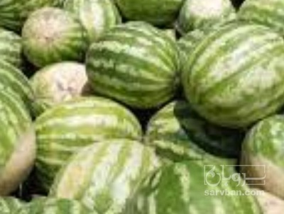 فروش هندوانه