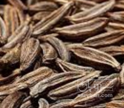 فروش زیره (گیاه‌ دارویی)