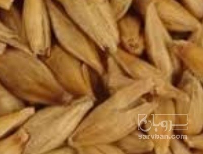 فروش جو