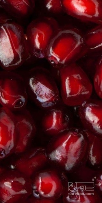 فروش انار