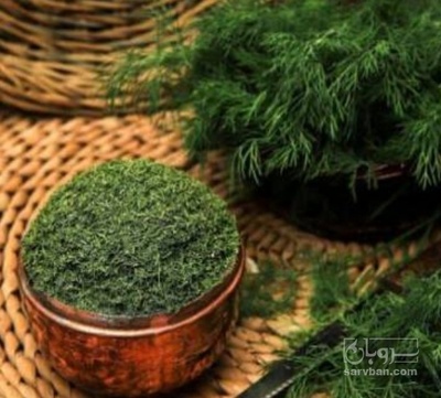 فروش شوید خشک (گیاه‌ دارویی)