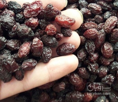 فروش زغال اخته خشک نشسته فله