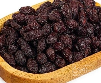 فروش زغال اخته خشک کارتونی