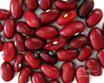 فروش لوبیا قرمز
