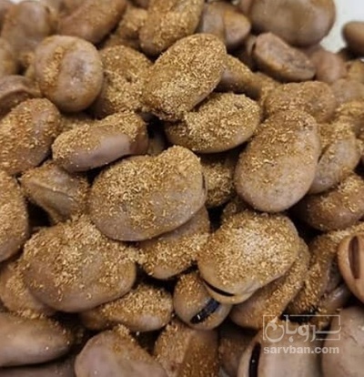 فروش باقلا تازه - باقالی - باقالا