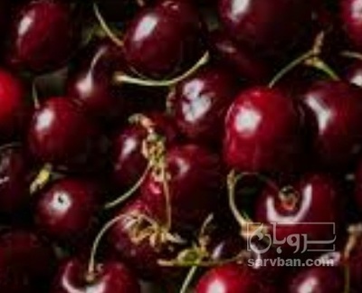 فروش گیلاس