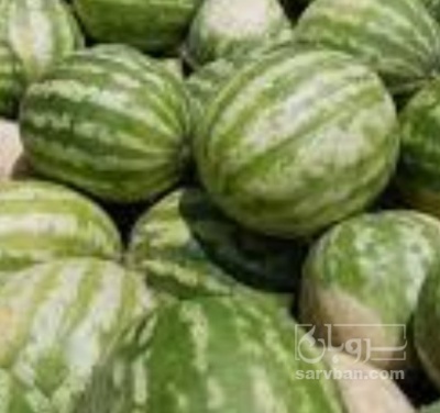 فروش هندوانه