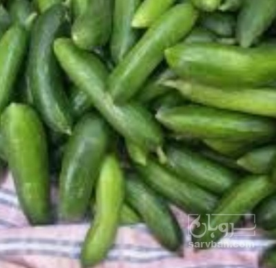 فروش خیار ریز