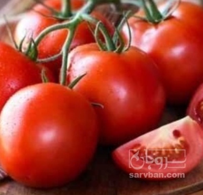 فروش گوجه فرنگی