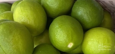 فروش لیمو ترش