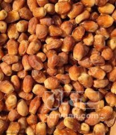 فروش خرمازاهدی