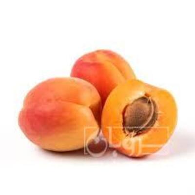 فروش زردآلو