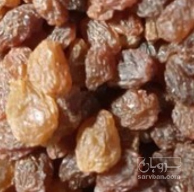 فروش کشمش ابگیری