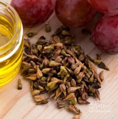 فروش هسته انگور