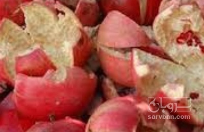 فروش  پوست انار