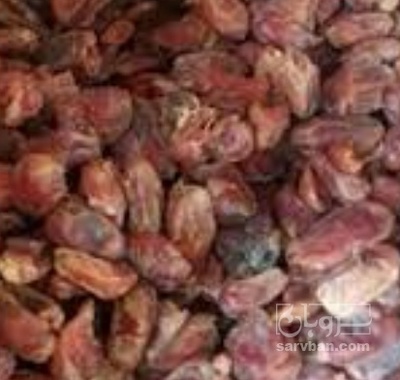 فروش خرما ضایعاتی