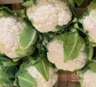 خرید گل کلم