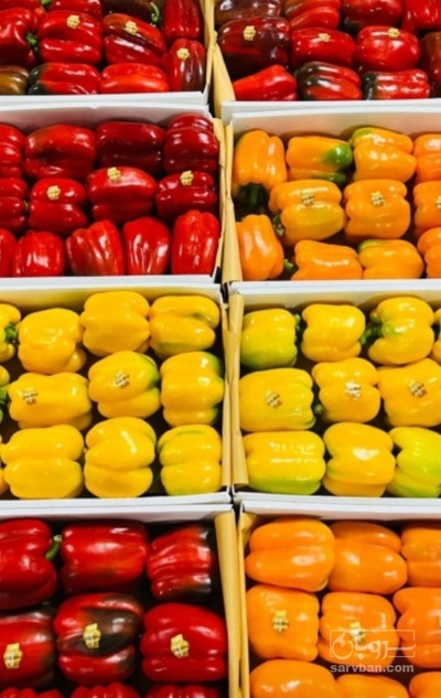 خرید فلفل دلمه ای