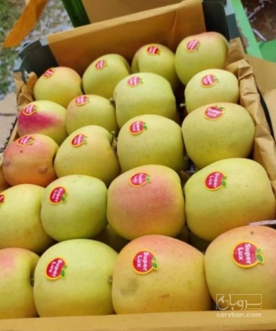 خرید سیب