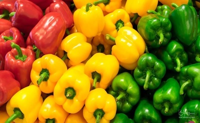 خرید فلفل دلمه ای