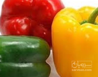 خرید فلفل دلمه ای