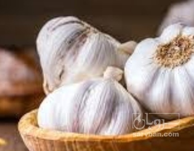 خرید سیر خشک