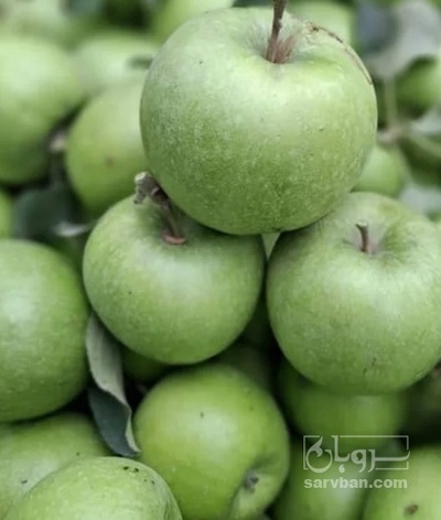 خرید سیب گرانی اسمیت
