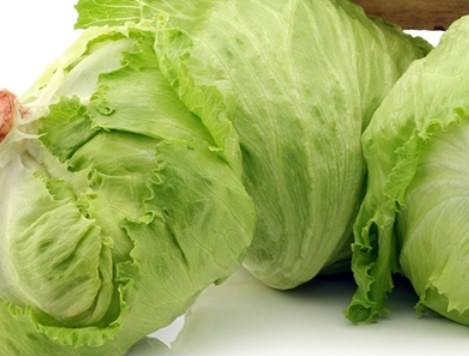 خرید کاهو ایسبرگ - آیسبرگ