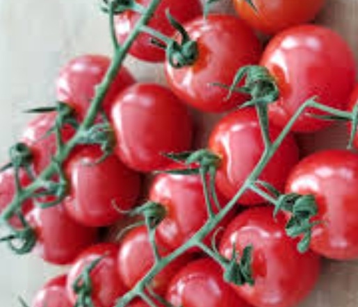 خرید گوجه فرنگی خوشه ایی