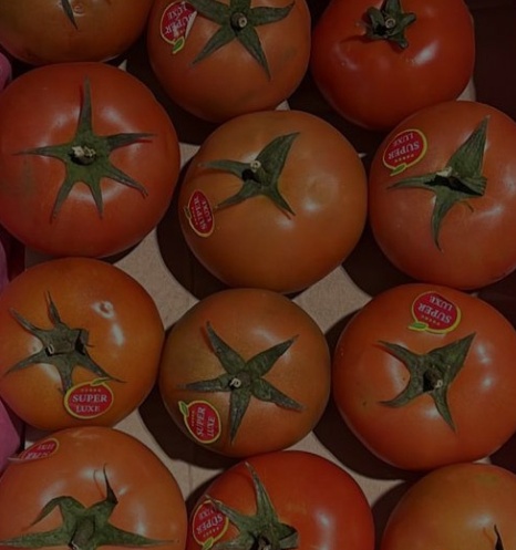 خرید گوجه فرنگی