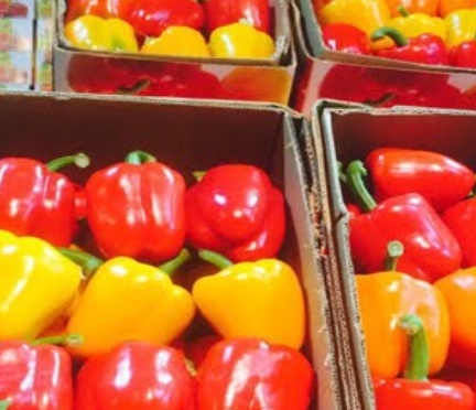 خرید فلفل دلمه ای